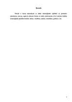 Referāts 'Nerūsējošais tērauds zobu protēžu tehnikā', 3.