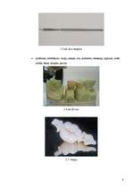 Referāts 'Nerūsējošais tērauds zobu protēžu tehnikā', 8.