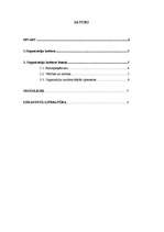 Referāts 'Organizāciju darba kultūra', 1.