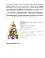 Referāts 'Aptaukošanās problēmas un izvairīšanās no tām', 5.