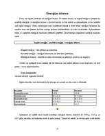 Referāts 'Aptaukošanās problēmas un izvairīšanās no tām', 17.