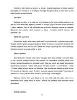 Referāts 'Aptaukošanās problēmas un izvairīšanās no tām', 21.