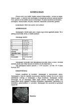 Referāts 'Kurināmais, tā veidi un pielietojums', 5.