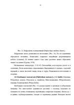 Diplomdarbs 'Размножение папоротников в оранжерейных условиях', 35.