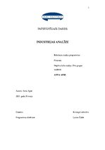 Biznesa plāns 'Industrijas analīze', 1.