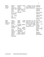 Biznesa plāns 'Industrijas analīze', 8.