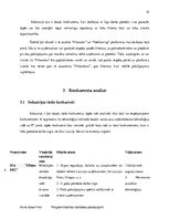 Biznesa plāns 'Industrijas analīze', 10.