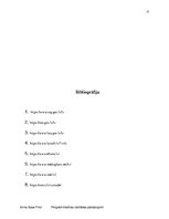 Biznesa plāns 'Industrijas analīze', 17.