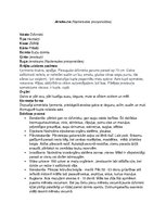 Konspekts 'Jenotsuns', 1.