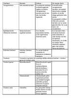 Konspekts 'Iekšējās sekrēcijas dziedzeri', 1.