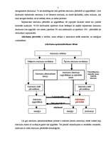 Konspekts 'Atkritumu pārstrāde', 3.