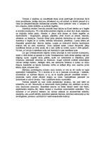 Eseja 'Tūrisms', 1.