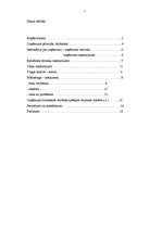 Biznesa plāns 'SIA "Lukss"', 2.