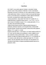 Biznesa plāns 'SIA "Lukss"', 3.