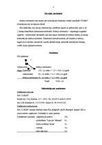 Biznesa plāns 'SIA "Lukss"', 4.