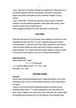 Biznesa plāns 'SIA "Lukss"', 7.