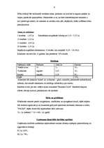 Biznesa plāns 'SIA "Lukss"', 8.