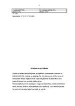 Biznesa plāns 'SIA "Lukss"', 11.