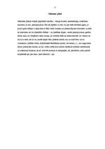 Biznesa plāns 'SIA "Lukss"', 12.