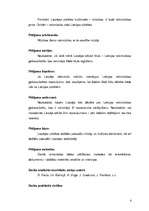 Konspekts 'Liepāja kā rokmūzikas galvaspilsēta', 4.