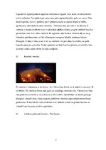 Konspekts 'Viesnīcu neparastāko pakalpojumu raksturojums', 7.