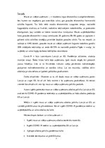 Referāts 'Mazo un vidējo uzņēmumu atbalsta politika Latvijā un Eiropas Savienībā', 5.