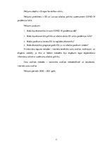 Referāts 'Mazo un vidējo uzņēmumu atbalsta politika Latvijā un Eiropas Savienībā', 6.