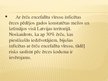 Prezentācija 'Ērču encefalīts', 12.