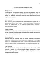 Referāts 'Globalizācija', 7.
