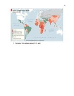 Referāts 'Globalizācija', 18.