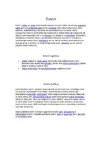 Referāts 'Esteri', 2.