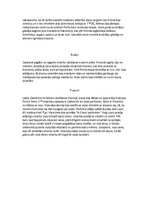 Referāts 'Esteri', 9.