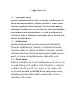 Referāts 'Agresija un tās veicinošie faktori', 2.