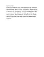 Referāts 'Agresija un tās veicinošie faktori', 12.