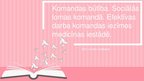 Prezentācija 'Komandas būtība un sociālās lomas komandā', 1.