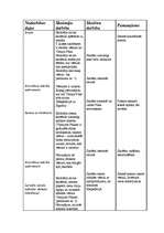 Konspekts 'Integrēta latviešu valodas stunda 3.klasei', 1.