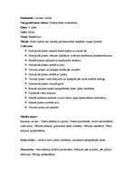 Konspekts 'Integrēta latviešu valodas stunda 3.klasei', 7.