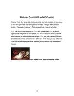 Referāts 'Baroks pasaules mākslā', 19.