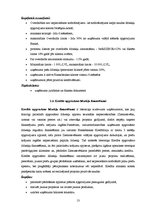 Referāts 'Kredītu veidi AS "Hansabanka"', 13.