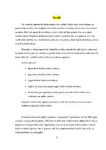 Referāts 'Rubika kubiks', 5.