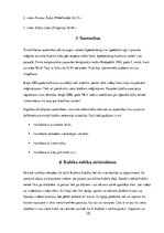 Referāts 'Rubika kubiks', 10.