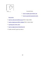 Referāts 'Rubika kubiks', 28.