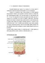 Referāts 'Vitamīns D', 5.