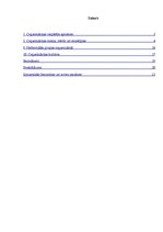 Biznesa plāns 'Organizācijas projektēšana', 2.