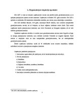 Biznesa plāns 'Organizācijas projektēšana', 3.