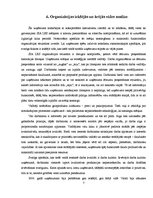 Biznesa plāns 'Organizācijas projektēšana', 7.