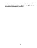 Biznesa plāns 'Organizācijas projektēšana', 10.