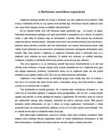 Biznesa plāns 'Organizācijas projektēšana', 11.