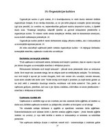 Biznesa plāns 'Organizācijas projektēšana', 17.