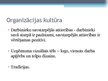 Biznesa plāns 'Organizācijas projektēšana', 29.
